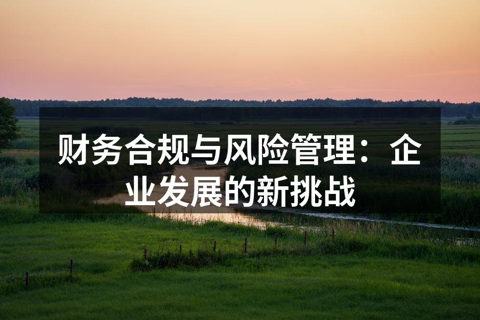 财务合规与风险管理：企业发展的新挑战