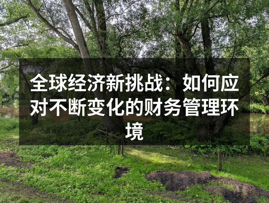 全球经济新挑战：如何应对不断变化的财务管
