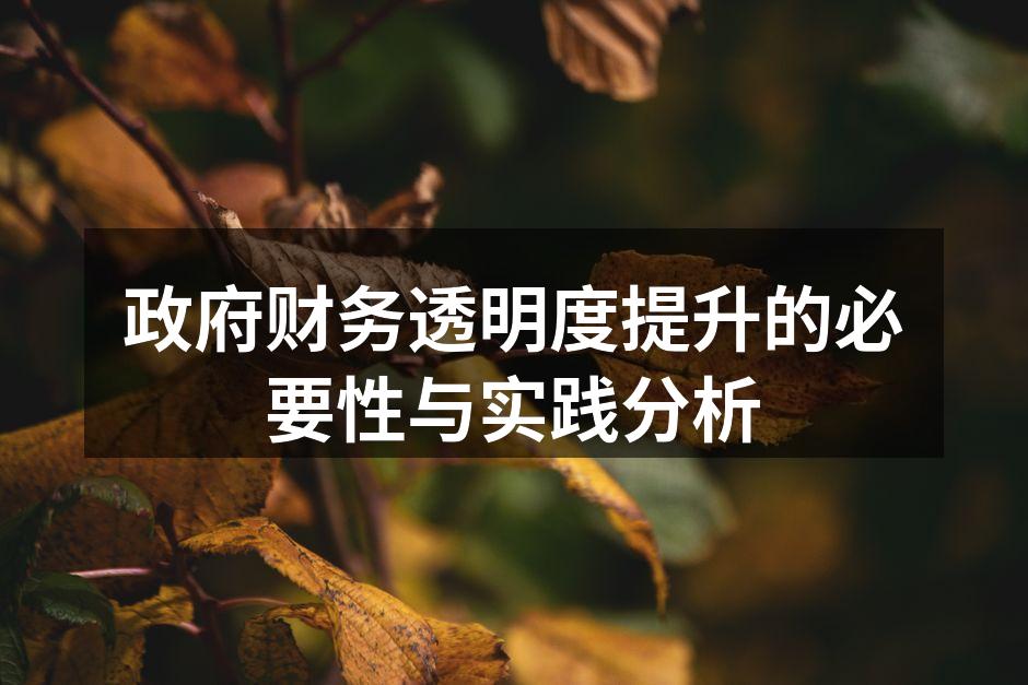 政府财务透明度提升的必要性与实践分析