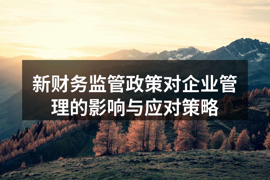 新财务监管政策对企业管理的影响与应对策略
